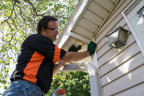 Best Shed Removal  in Kearney, MO